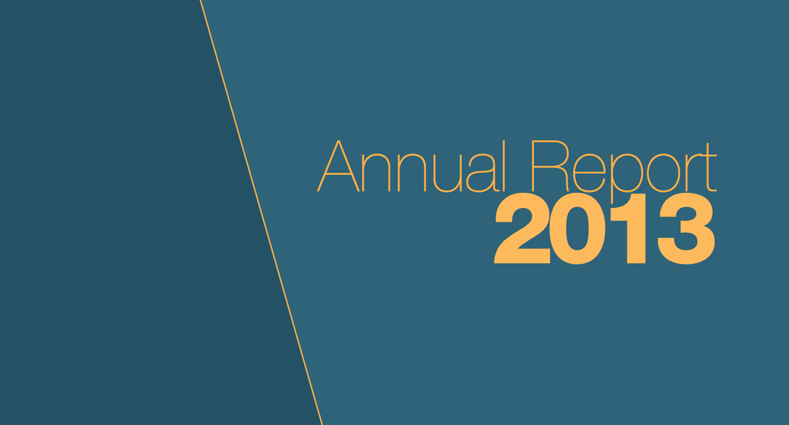 Annual Report – 2013