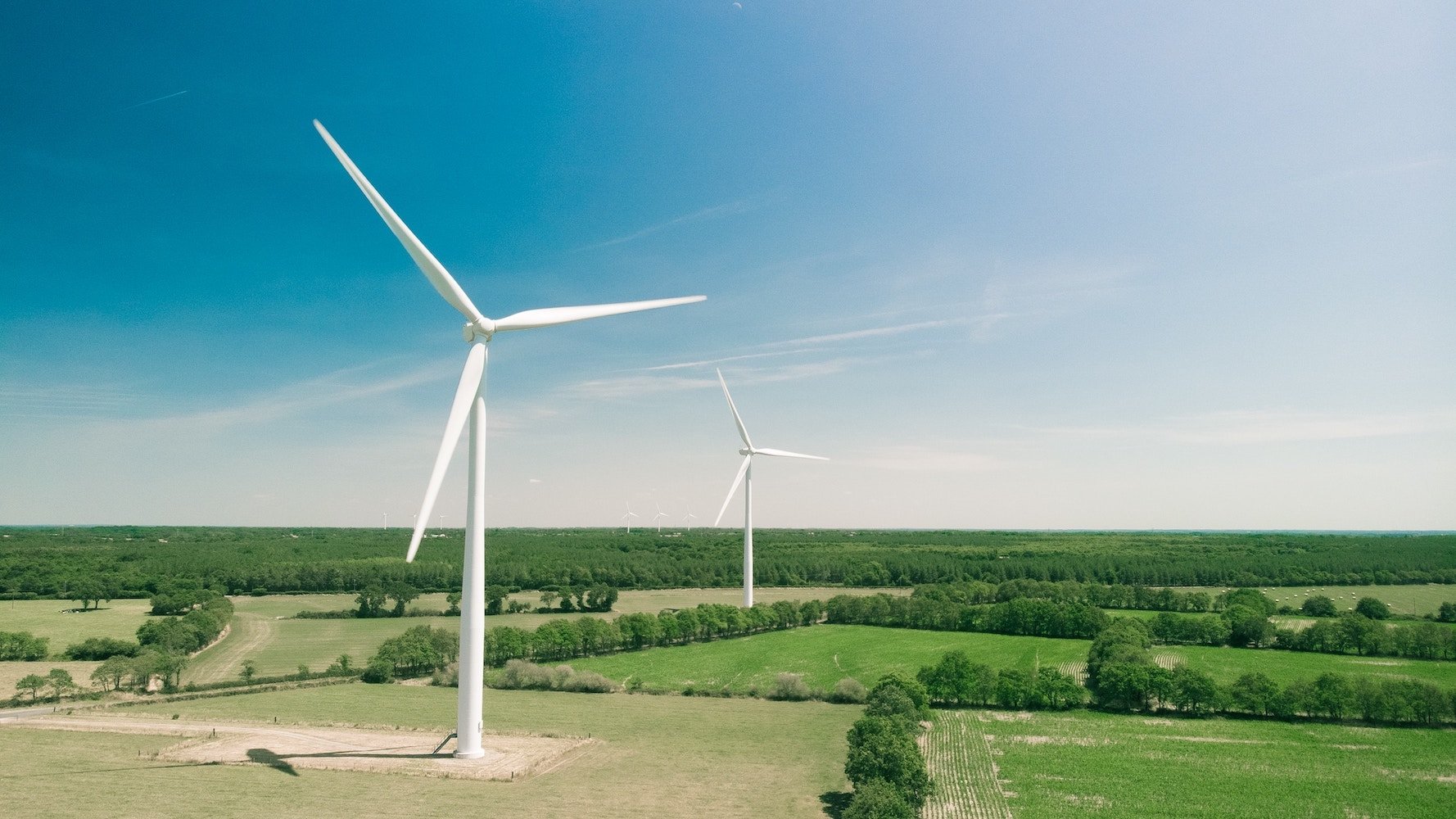 European Institute on Economics and the Environment EIEE