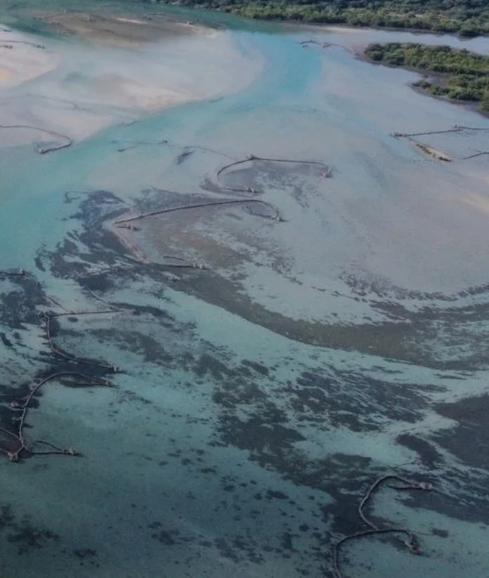 Estuarine Morphodynamics, Coastal Protection, and Climate-Driven Transitions in River-Mouth Systems