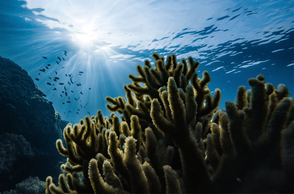 Global Coastal Ocean - GOCO