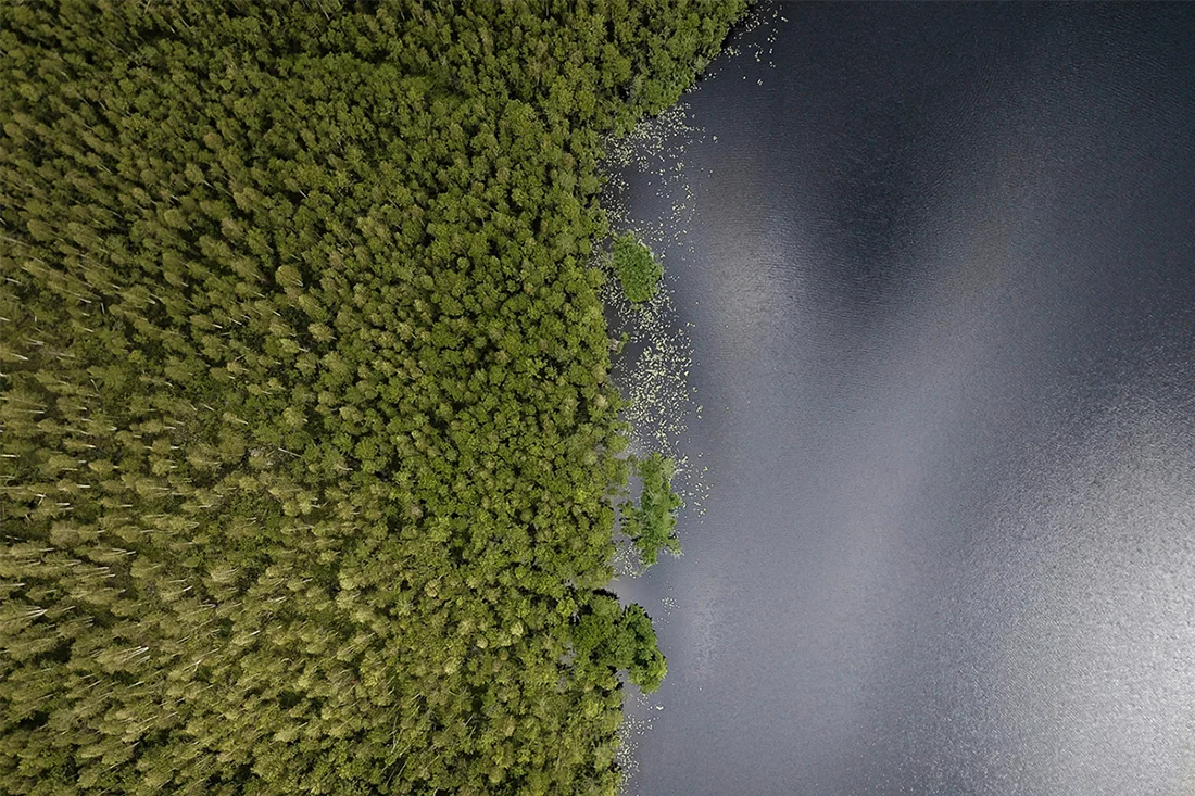 Sustainable Decarbonazation
