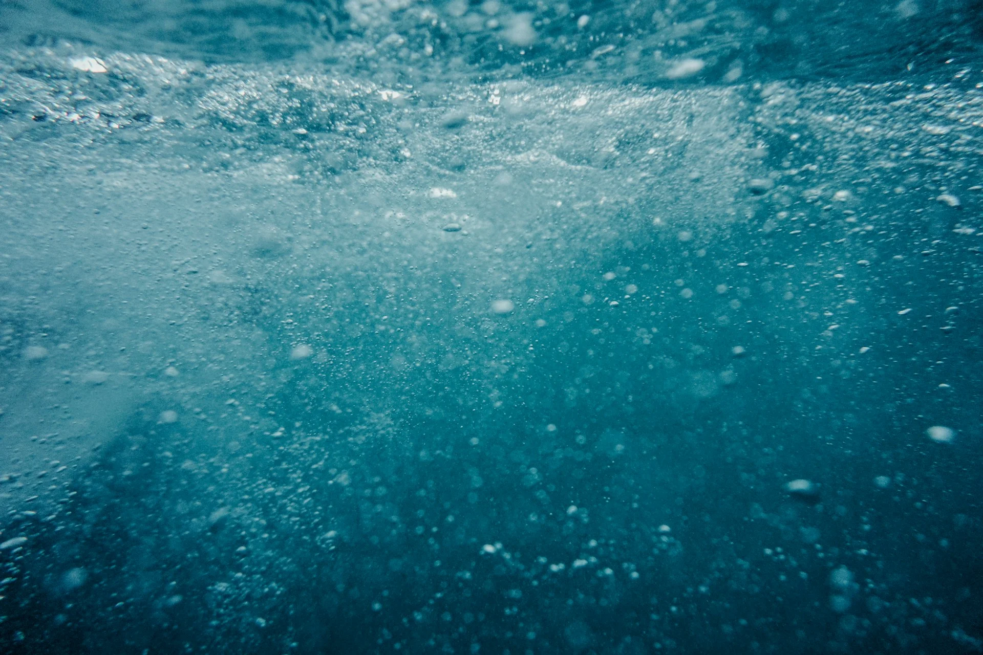 Ocean carbon dynamics are key to the future of climate